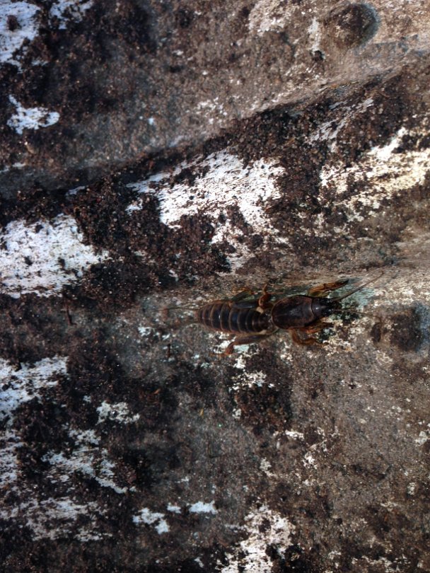2014-04-26 19.09.37